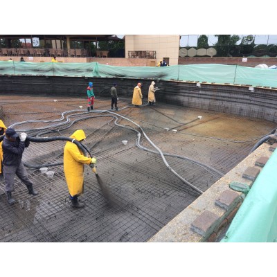 Inchiriere Masina de Torcretat